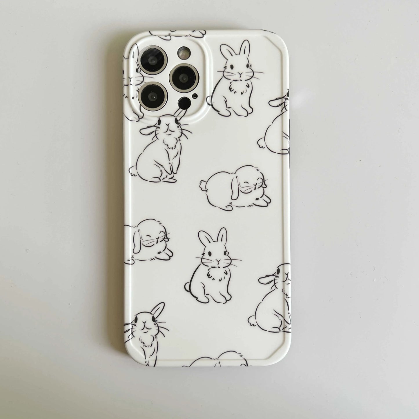 Rabbit Case